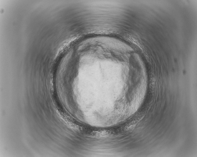 X0000059080688200511041821