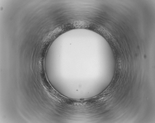 X0000059080690200511041821