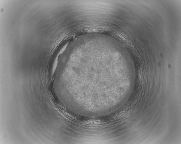 X0000059080691200511041821