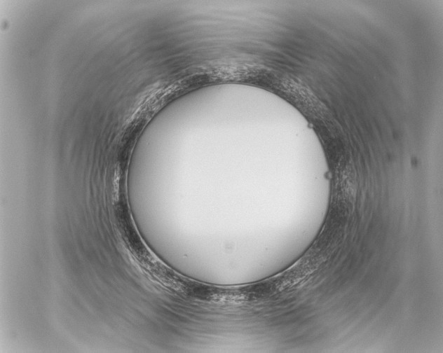 X0000059080694200511041821