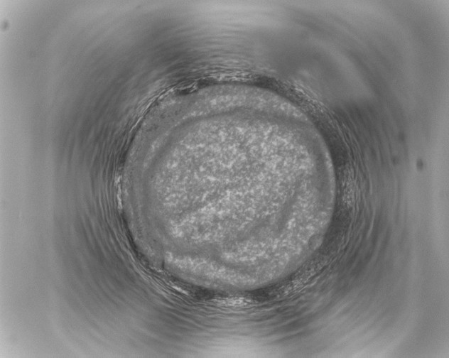 X0000059080695200511041821