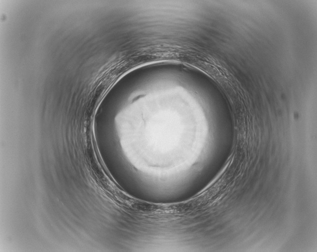 X0000059080696200511041821