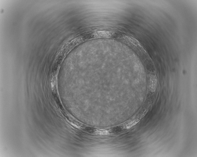 X0000059080701200511041821