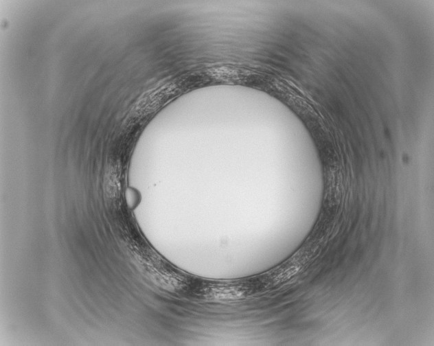 X0000059080702200511041821