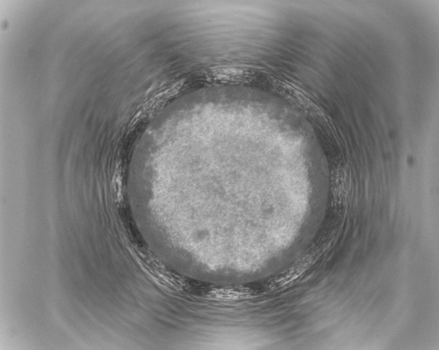 X0000059080703200511041821