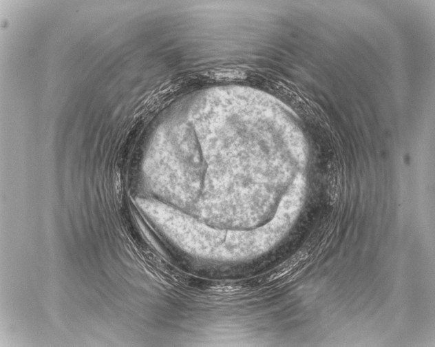 X0000059080704200511041821