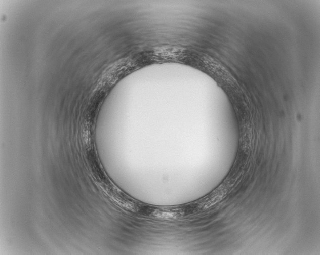 X0000059080706200511041821