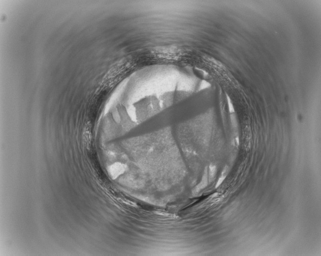 X0000059080707200511041821