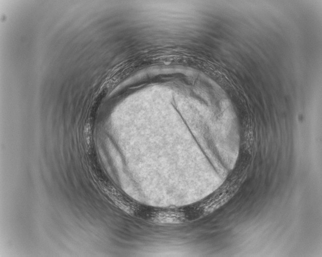 X0000059080708200511041821