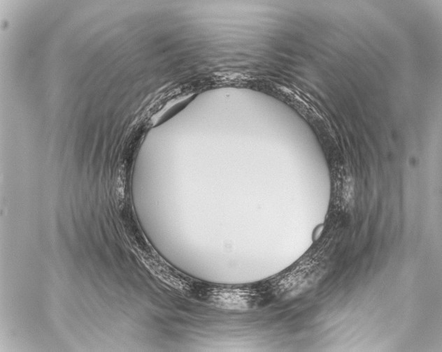 X0000059080710200511041821