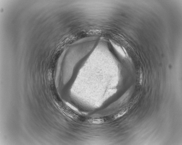 X0000059080711200511041821