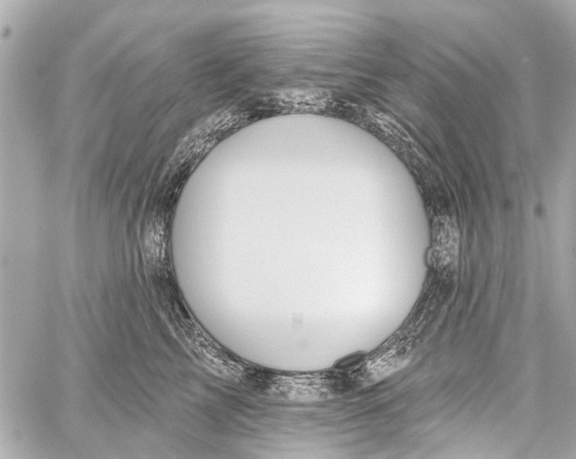 X0000059080713200511041821