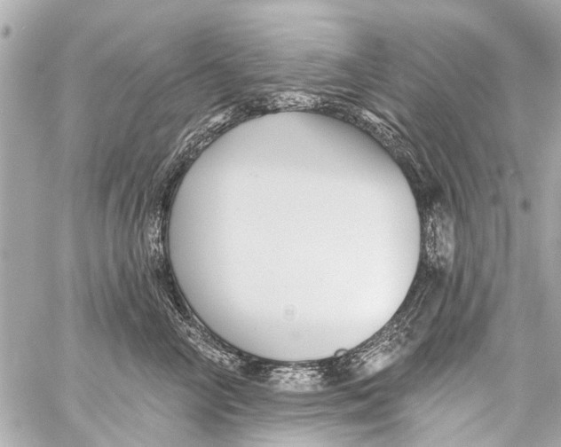 X0000059080714200511041821