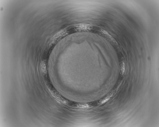 X0000059080715200511041821