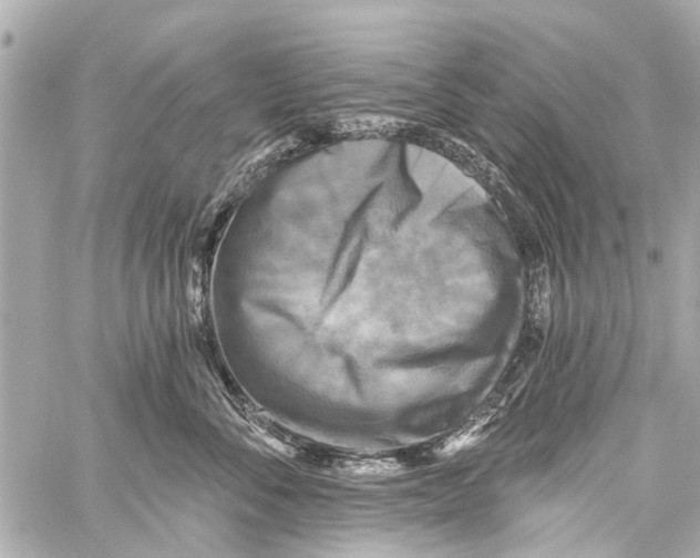 X0000059080716200511041821