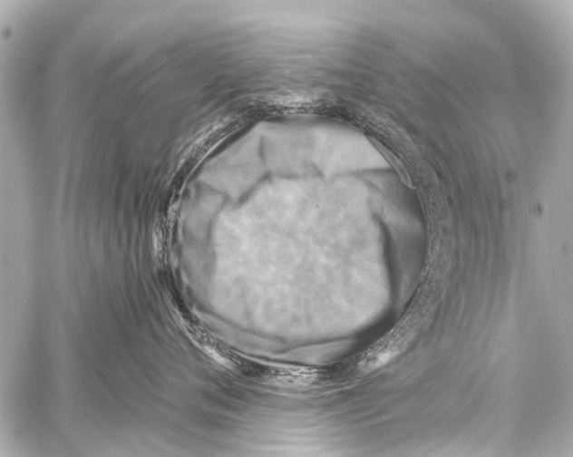 X0000059080720200511041821