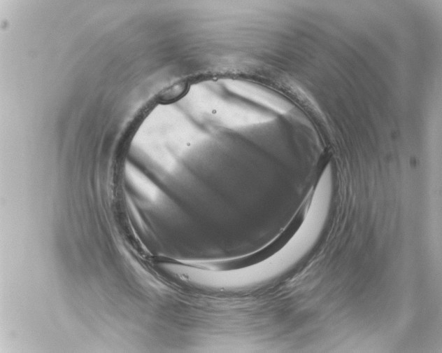 X0000059080722200511041820