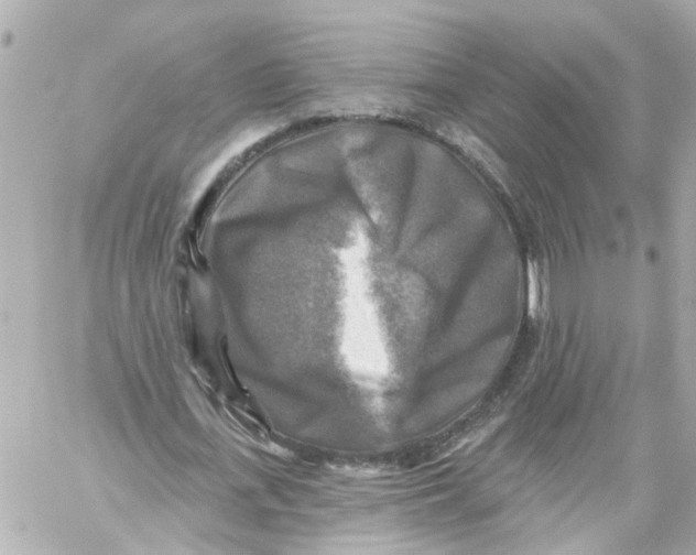 X0000059080723200511041820