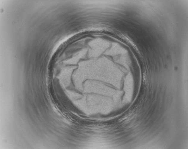 X0000059080724200511041820