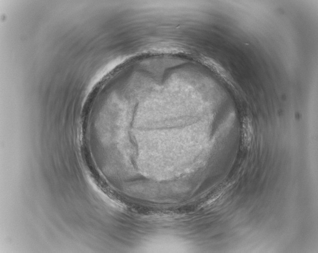 X0000059080726200511041820