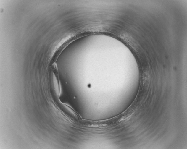 X0000059080727200511041820