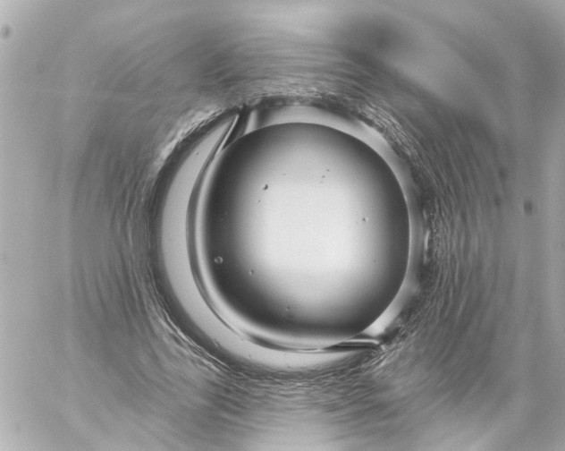 X0000059080731200511041820