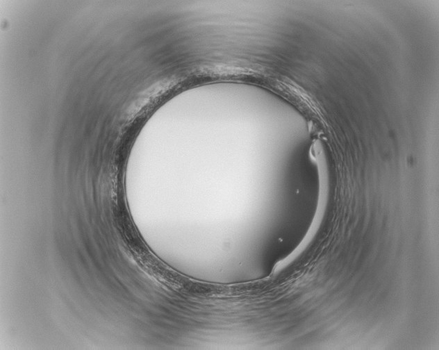 X0000059080732200511041820