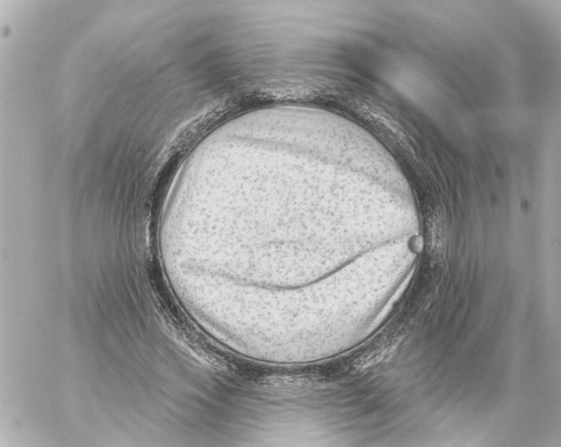 X0000059080733200511041820