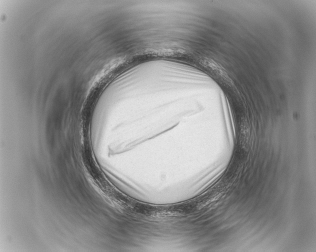 X0000059080734200511041820