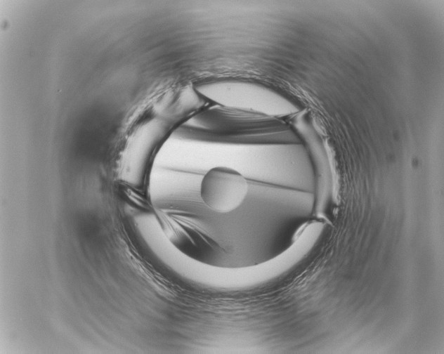 X0000059080735200511041820