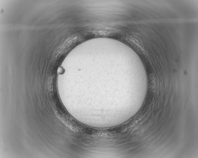 X0000059080738200511041820