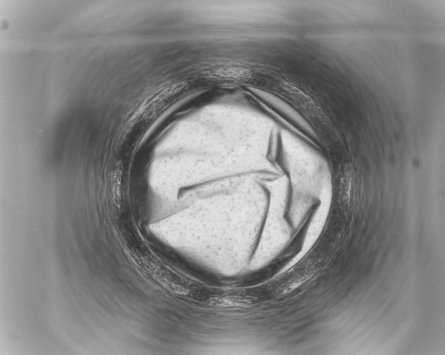 X0000059080739200511041820