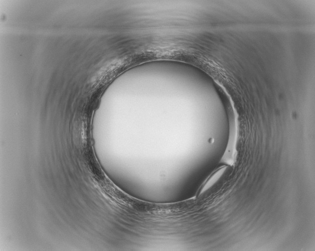 X0000059080740200511041820