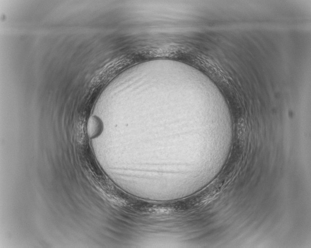 X0000059080741200511041820