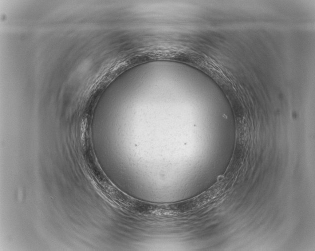 X0000059080742200511041821