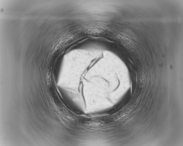 X0000059080743200511041821