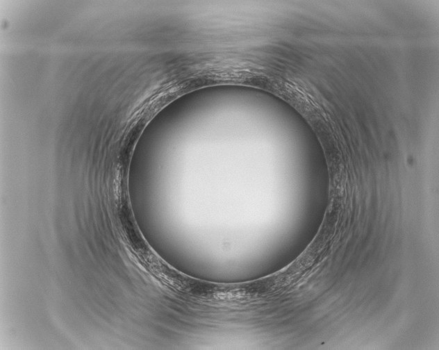 X0000059080744200511041821