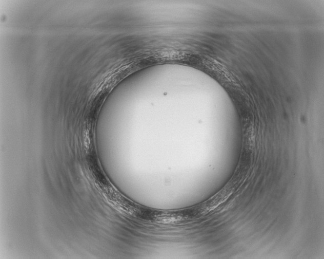 X0000059080746200511041821