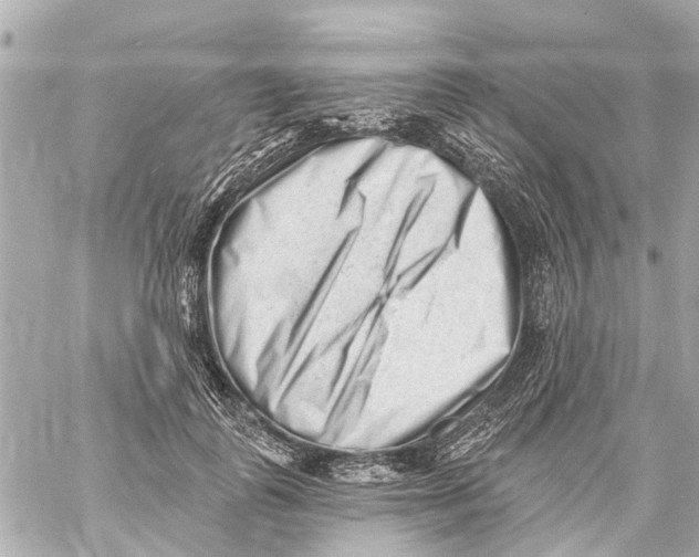 X0000059080747200511041821