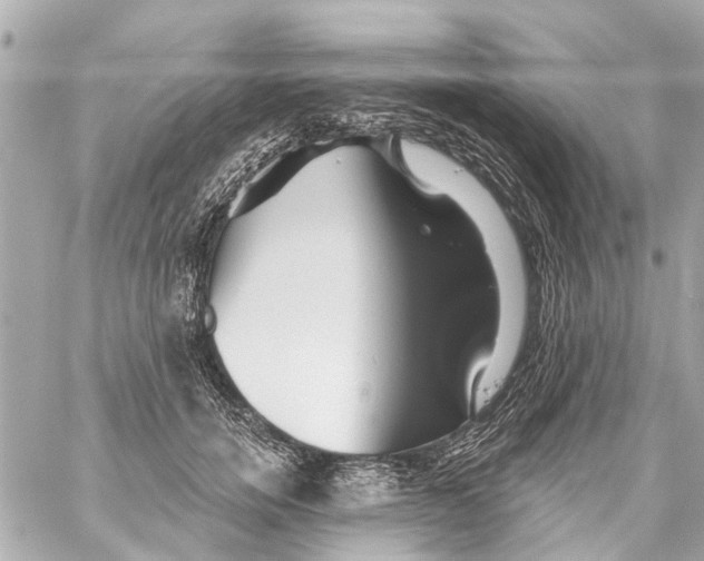 X0000059080750200511041821