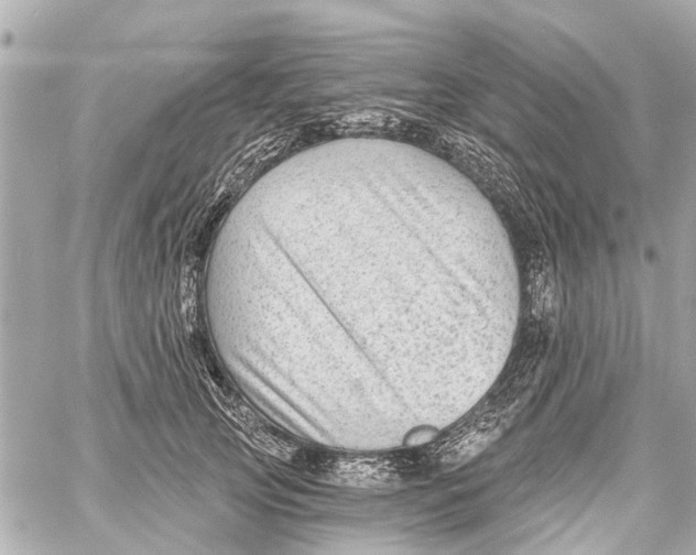 X0000059080753200511041821