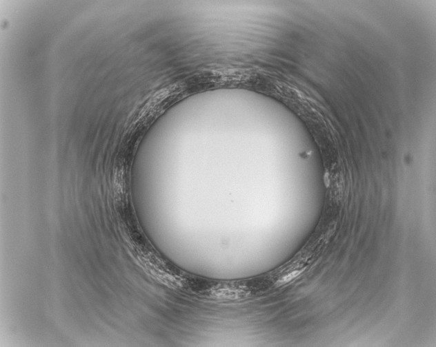 X0000059080756200511041821