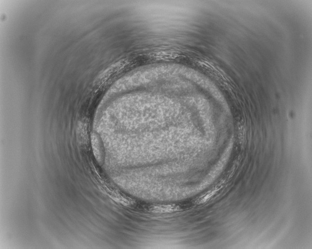 X0000059080757200511041821