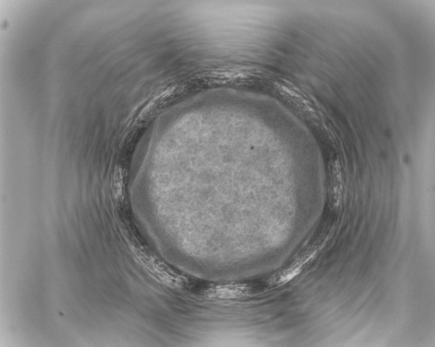 X0000059080758200511041821