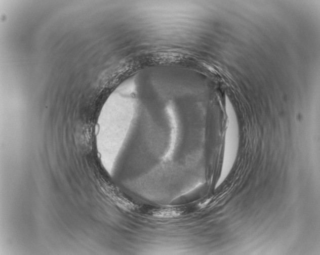 X0000059080759200511041821