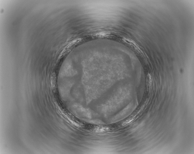 X0000059080760200511041821