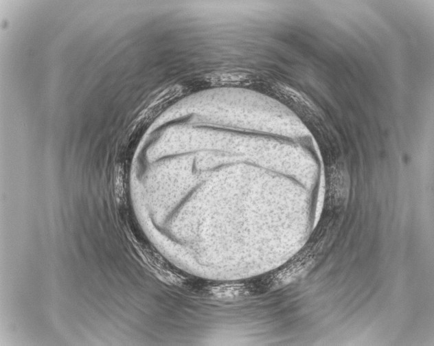 X0000059080761200511041821