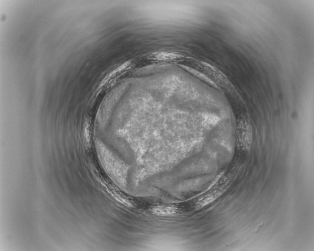 X0000059080762200511041821