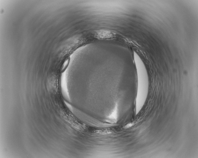 X0000059080763200511041821