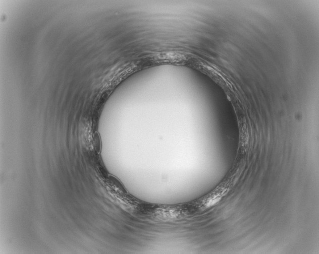 X0000059080764200511041821